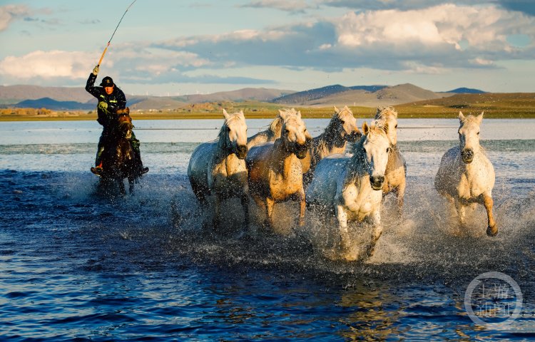 &ldquo;秋意&rdquo;(229) | 上游主題攝影征稿作品展--楊艷作品