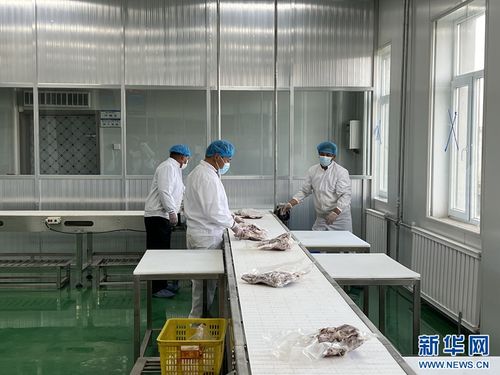 青海海南州 農畜產品促振興，高原沃野展新顏