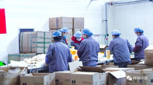 英雄武漢 中國平安丨中國平安采購察右中旗陰山優(yōu)麥燕麥扶貧產品馳援武漢